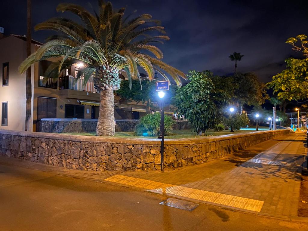 Dreaming the Sun Tenerife - Tap to explore photos