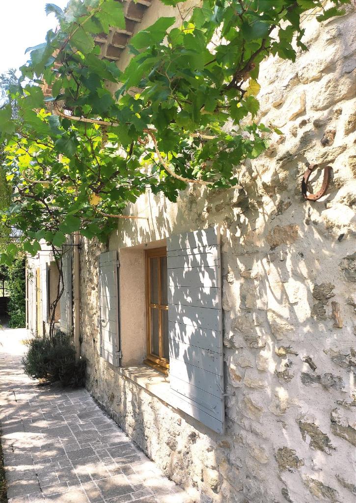 Les Champs de Provence photo 1