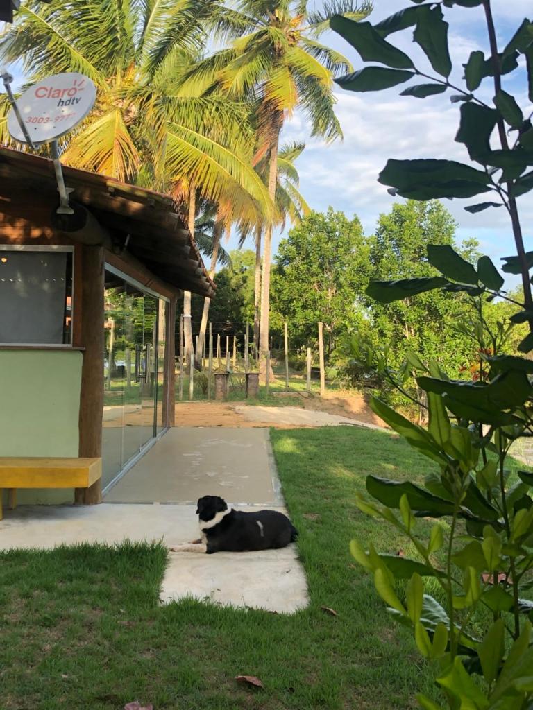 Casa Verde, Beira da água com 3 suítes em Caravelas photo 1