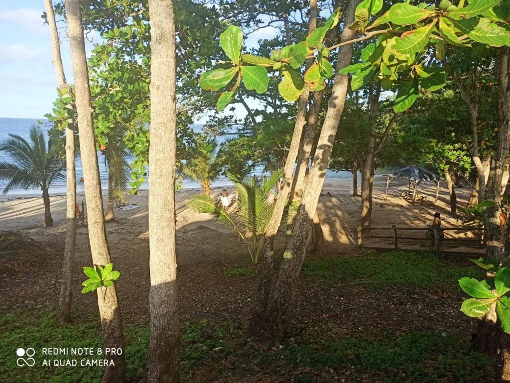 Saint Rose : Charmant T3 proche de la plage photo 1