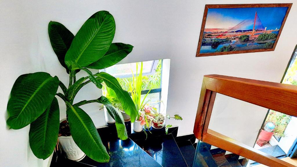 Sena home 3*1*Overlooking Danang Dragon bridge