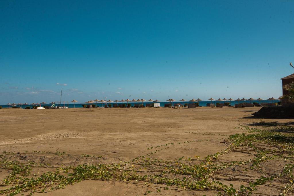 Shams Alam Beach Resort photo 1