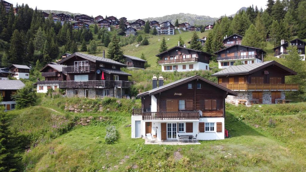 Chalet Foresta photo 3