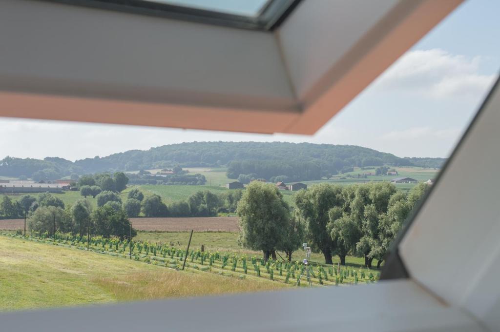 B&B De Zavelaar photo 1