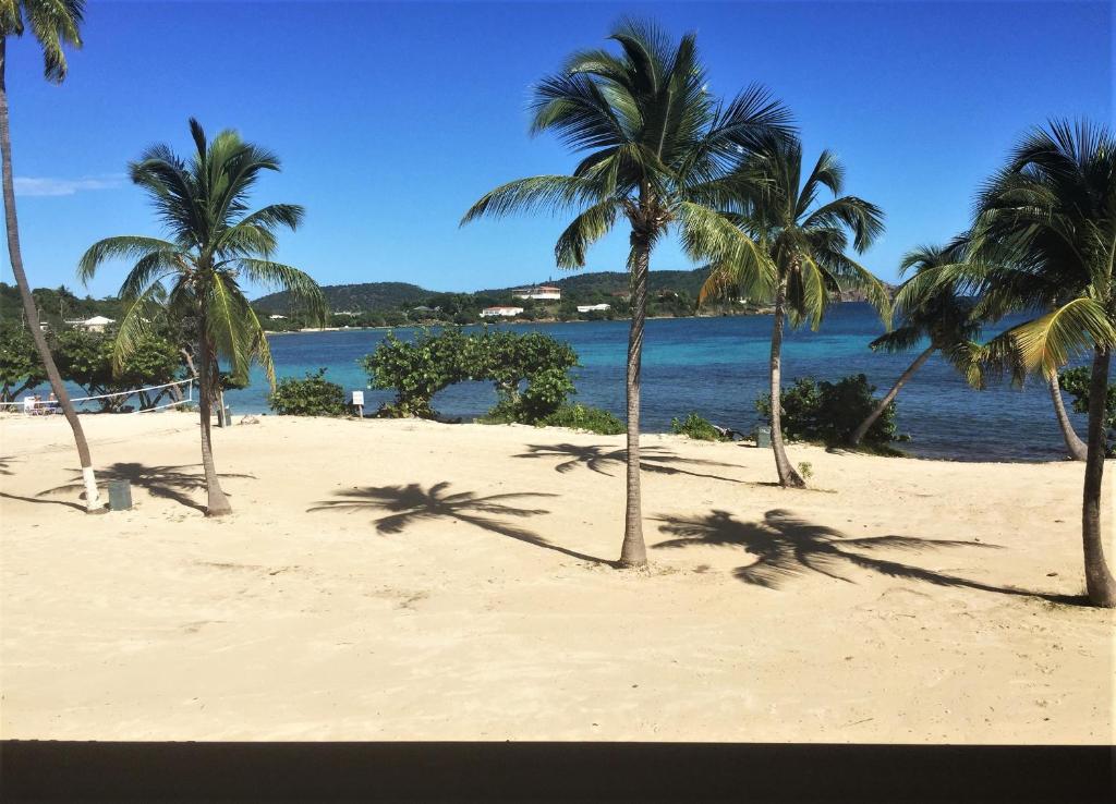 Your Perfect Beachfront Condo in Paradise - Sapphire Beach photo 3