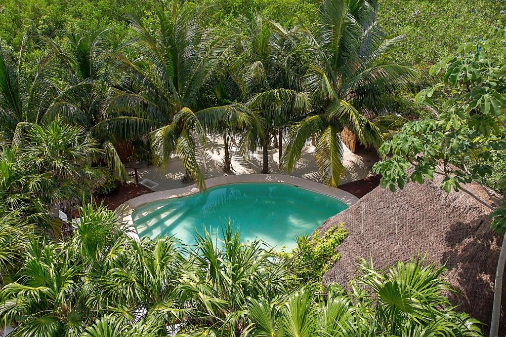 Holbox Deluxe Apartments photo 1