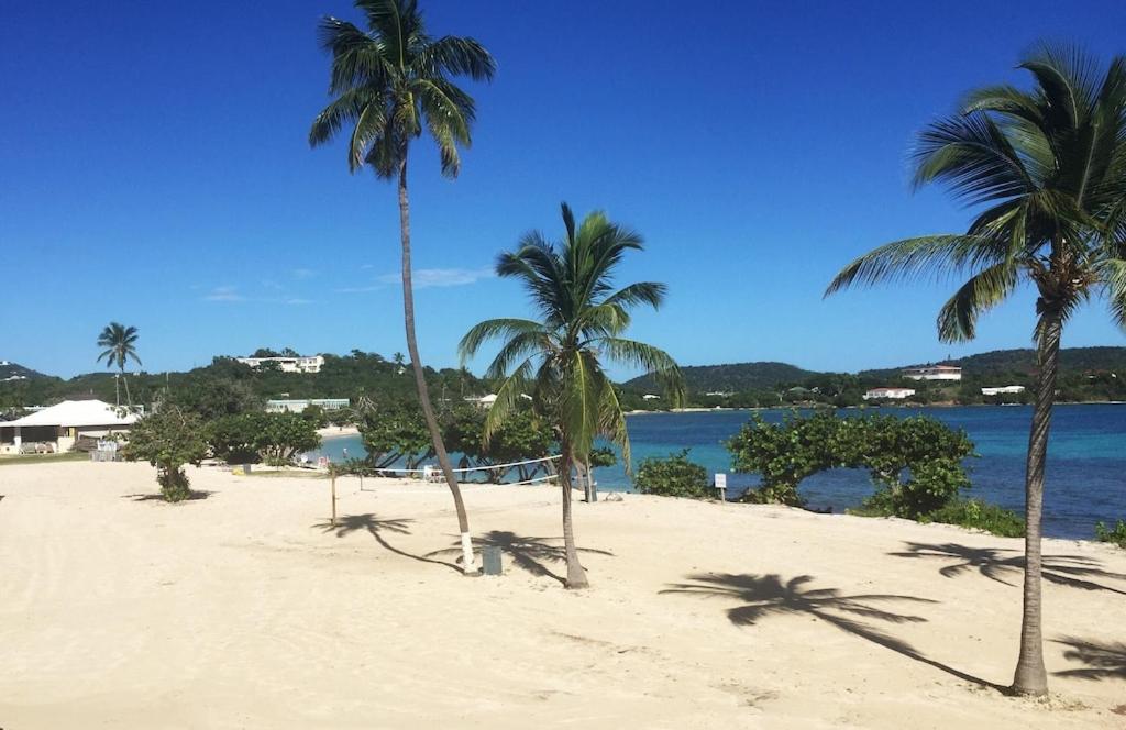 Your Perfect Beachfront Condo in Paradise - Sapphire Beach photo 4