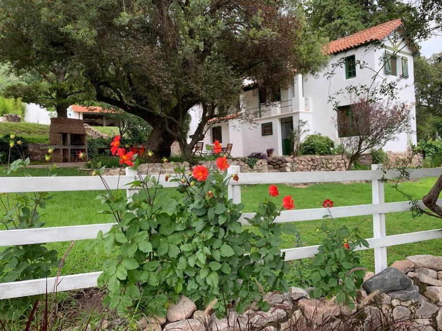 Private guesthouse & pool photo 1