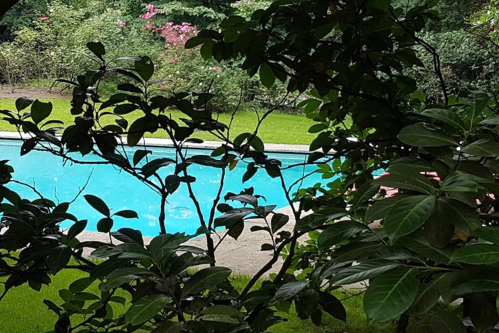 Villa Bottini ideale per relax di lusso photo 4