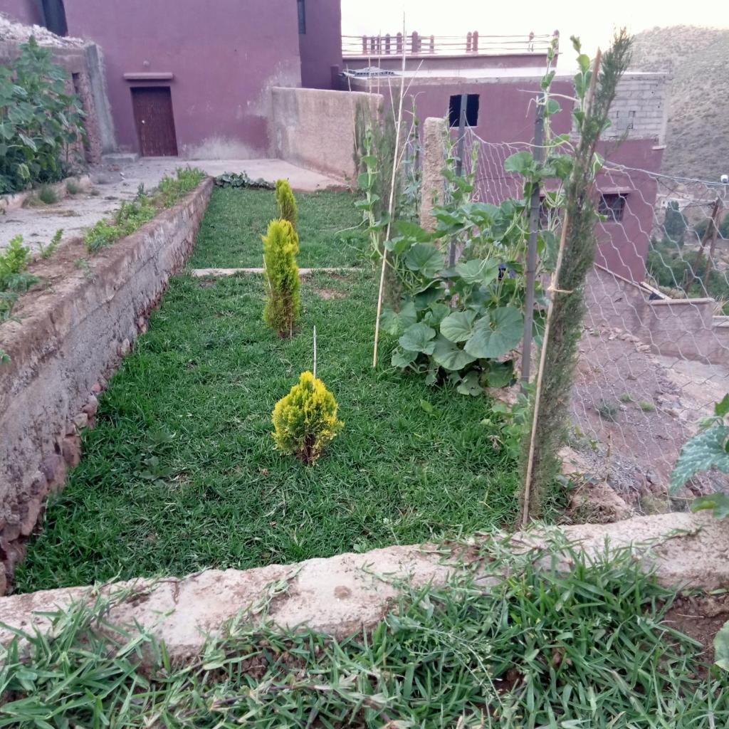 Auberge Matat photo 1