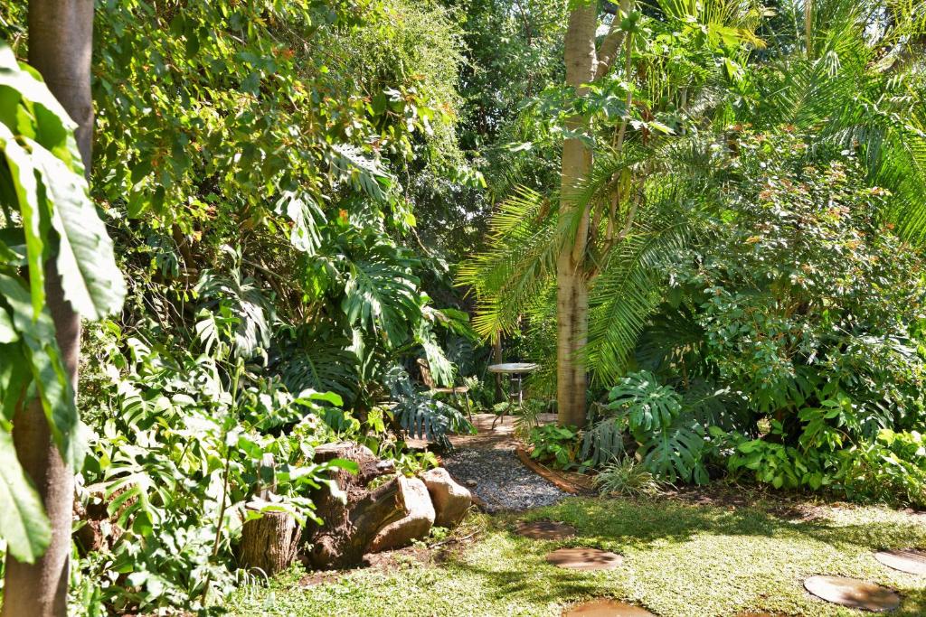 Kasane Self Catering photo 3
