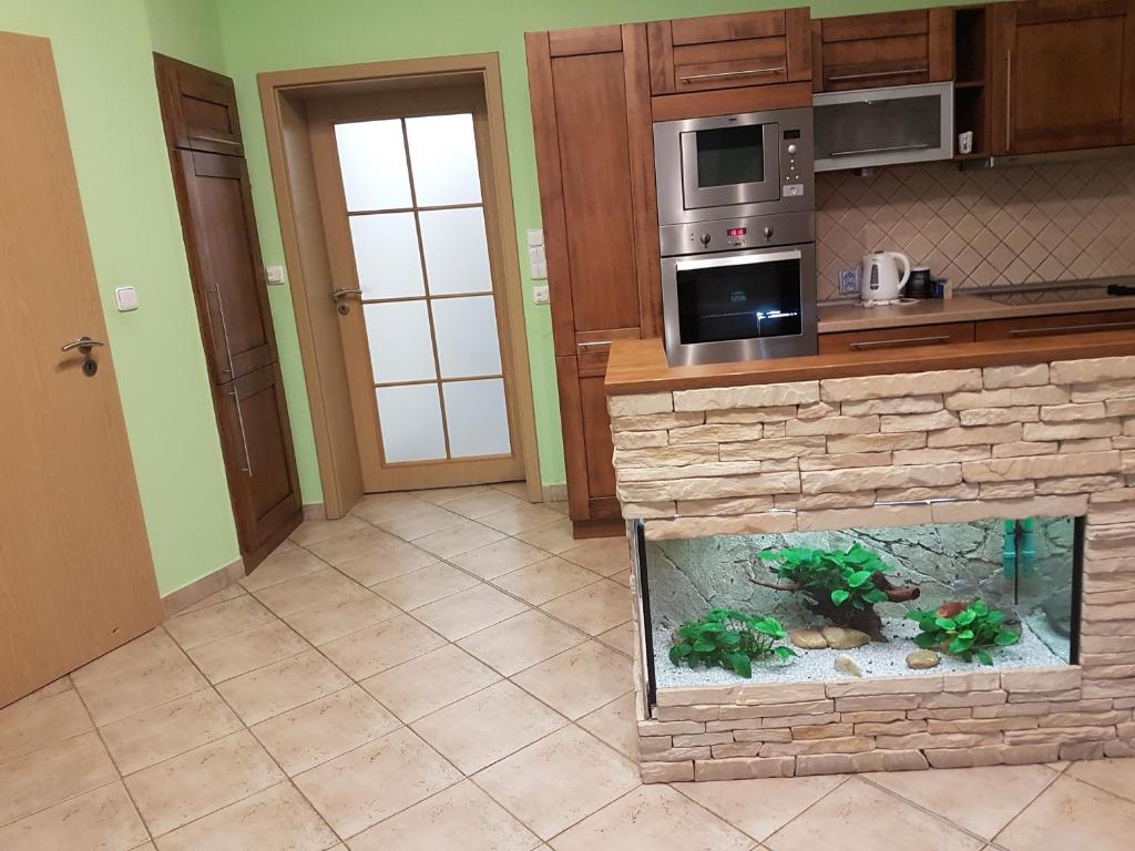Apartmán V aleji photo 4