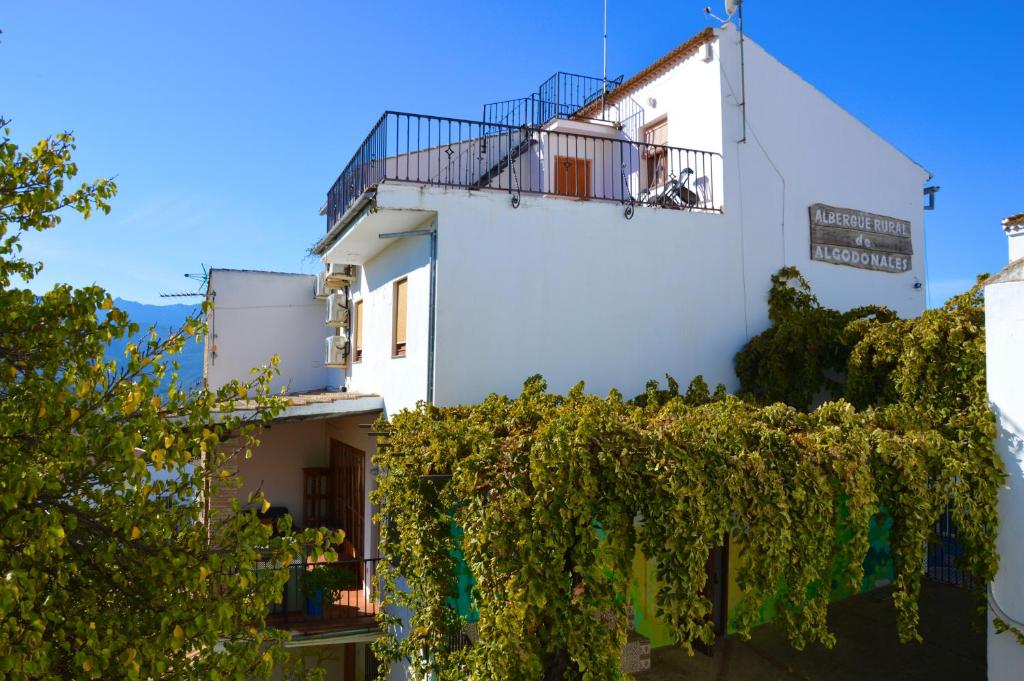 EcoAlbergue Rural de Algodonales photo 2