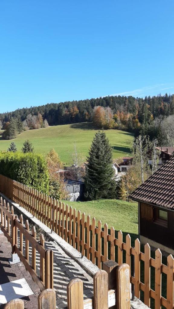 Duplex de charme avec terrasse photo 1