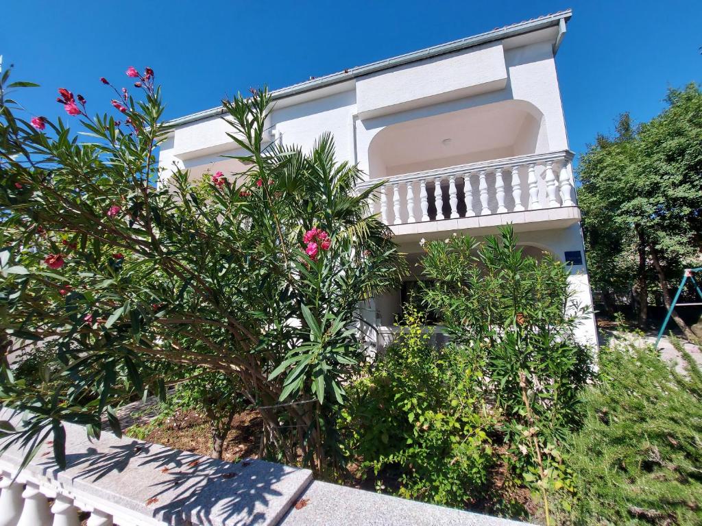 Apartments Franjo
