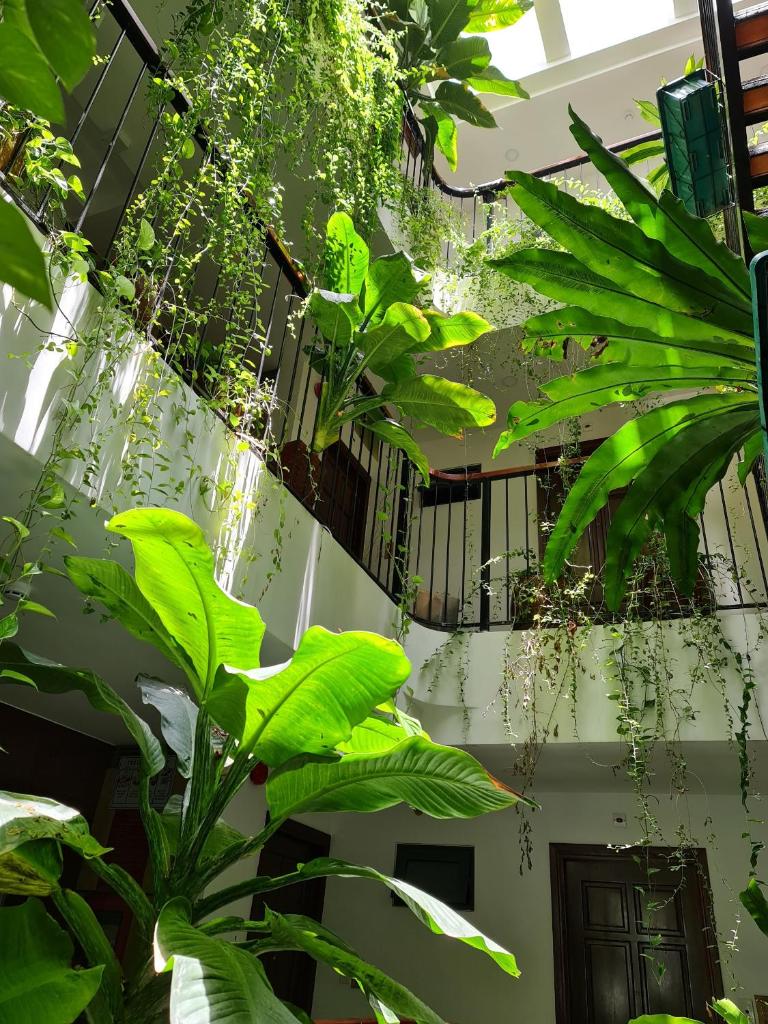 Nicobar Con Dao Hotel photo 4