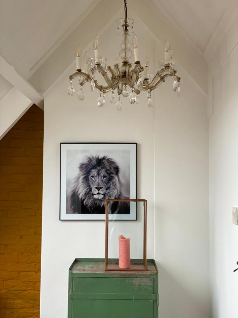 Huisje Harderwijk photo 4
