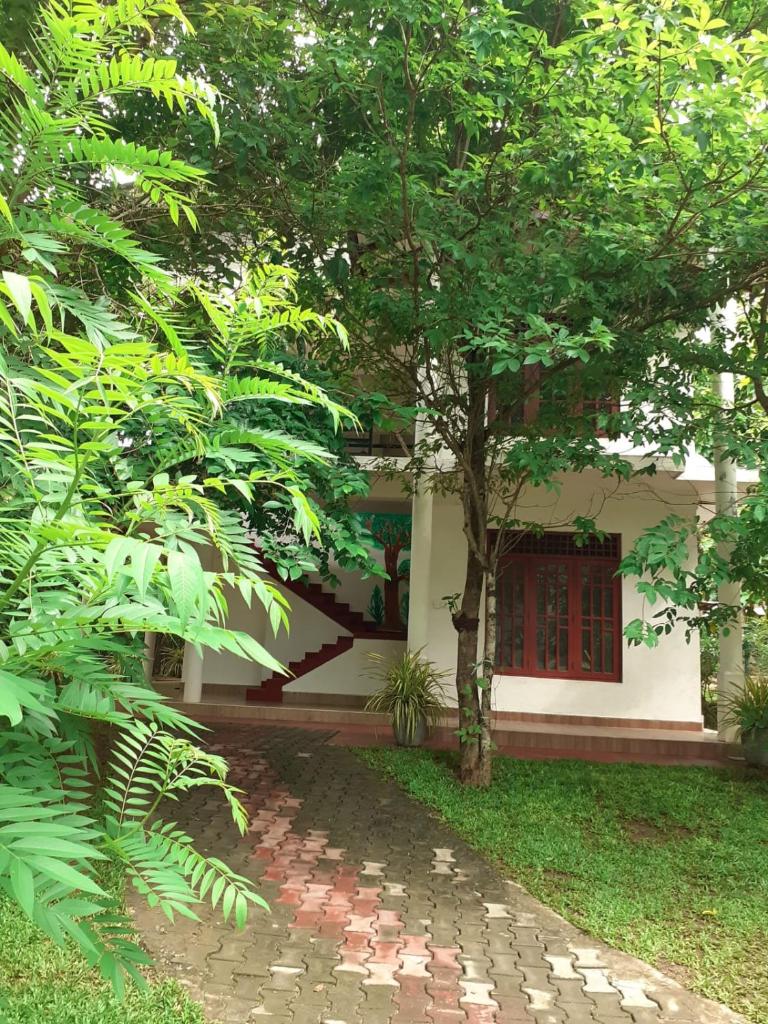 Yonara Green Rest photo 2