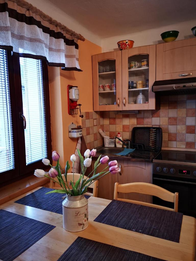 Dráchovský apartmán a vejminek photo 3
