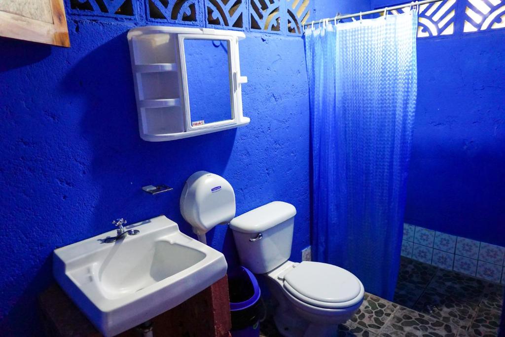 Hostal Los Chamos photo 4