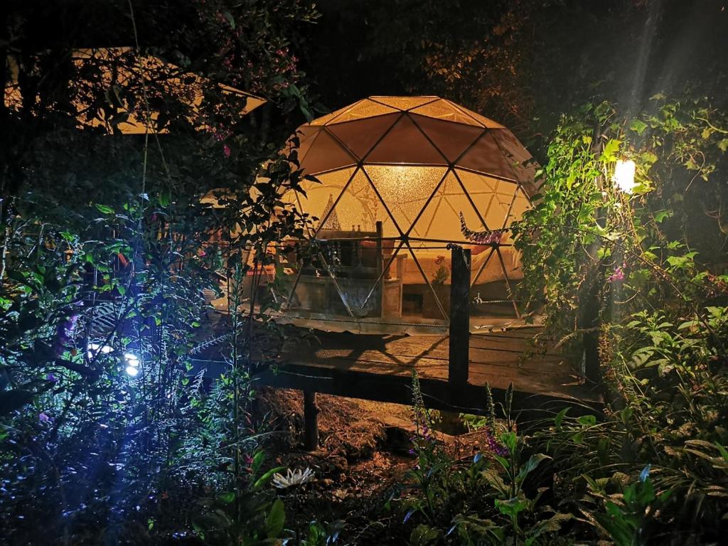 Fantasia Glamping photo 4