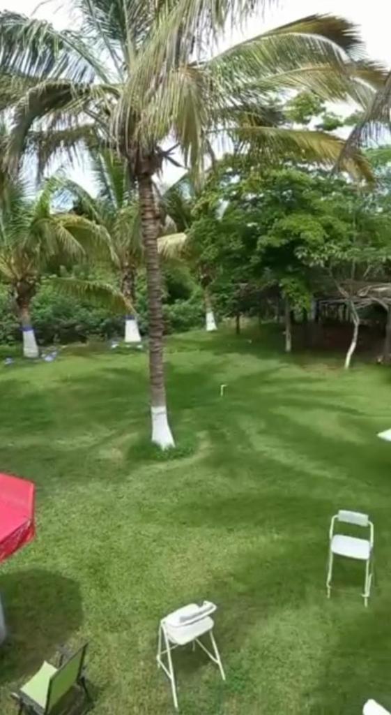 Casa Colibrí, Palapas y Jardines con acceso privado a La Playa Rosendo Nieblas photo 4