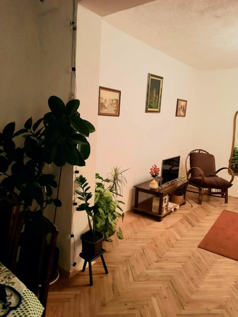 Sunshine house photo 4