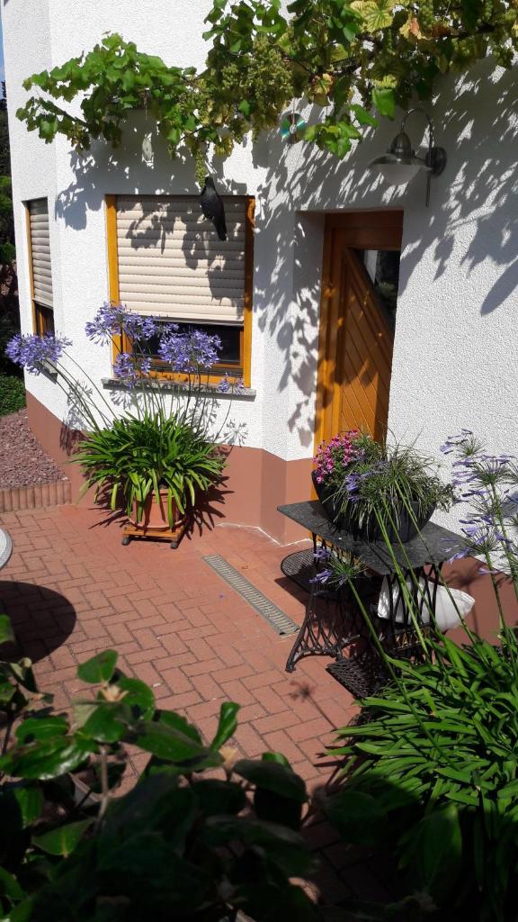 Ferienwohnung Schlossblick photo 1