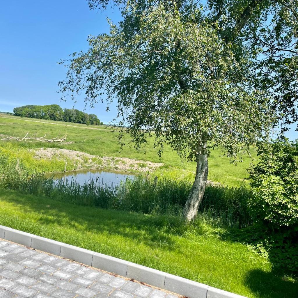 Hus inne Sünn photo 4