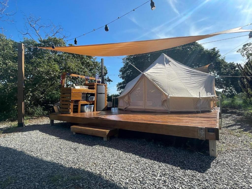 Pitahaya Glamping photo 3