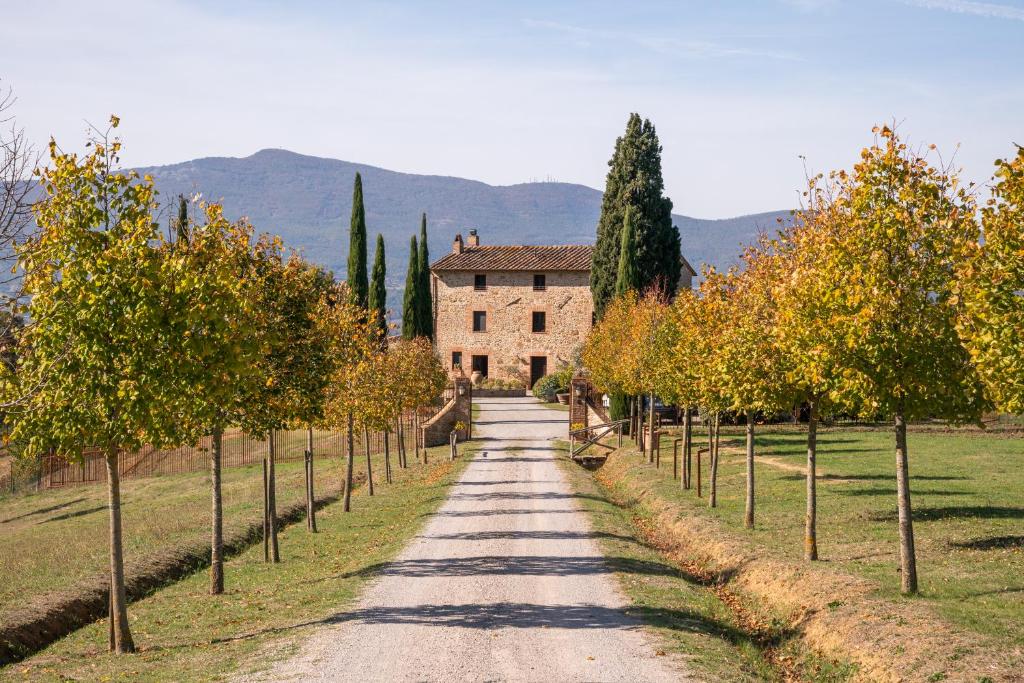 San Carlo a La Molinella photo 3