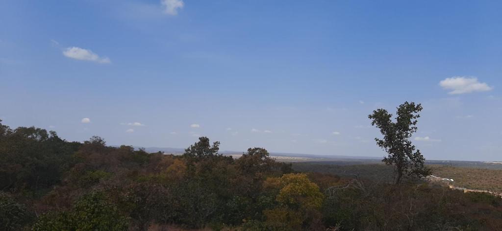 Moletani Game Ranch photo 3