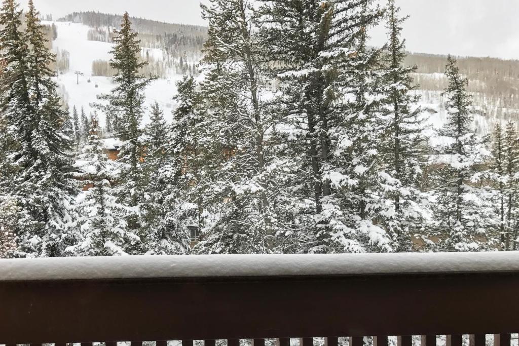 Gore Creek Getaway photo 1