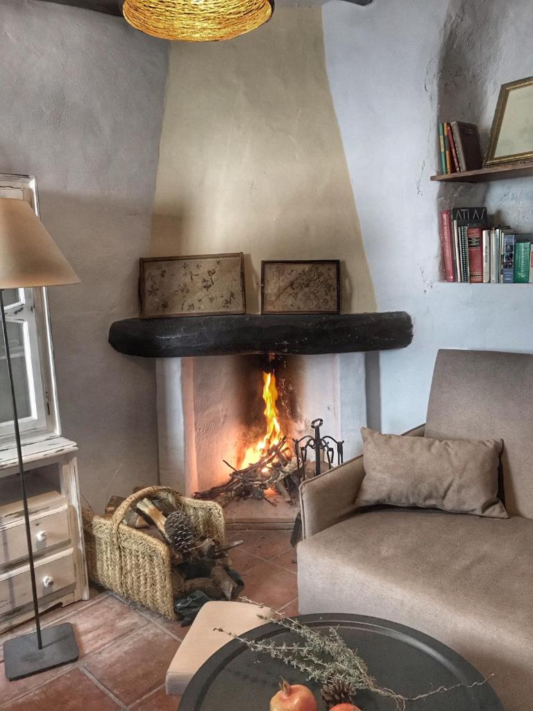 Casa Juncaria photo 3