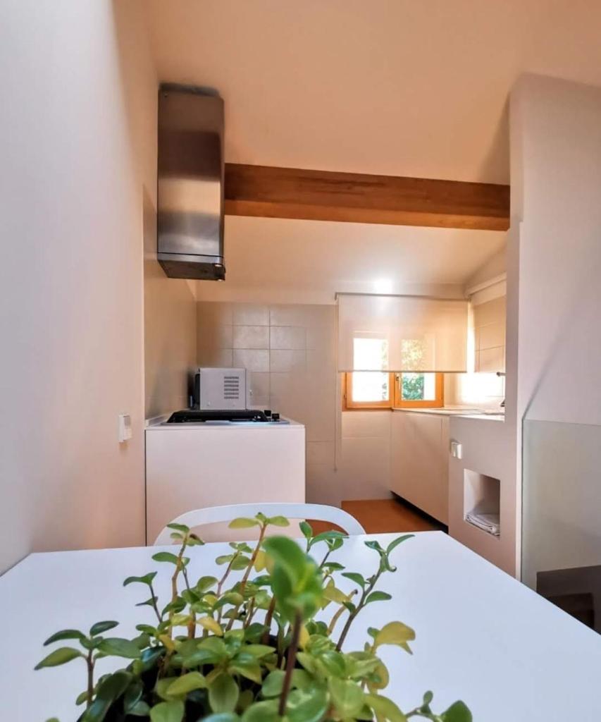 Apartamento Zocailla photo 4