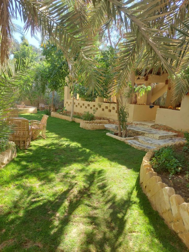Nour El Waha Hotel photo 2