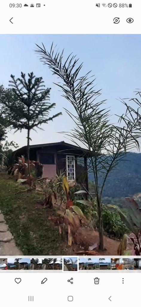 Chalé Pakere Bellavista - visão magnífica do vale e montanhas a mais de mil metros de altitude, wi-fi, sauna, piscina e água de nascente photo 2