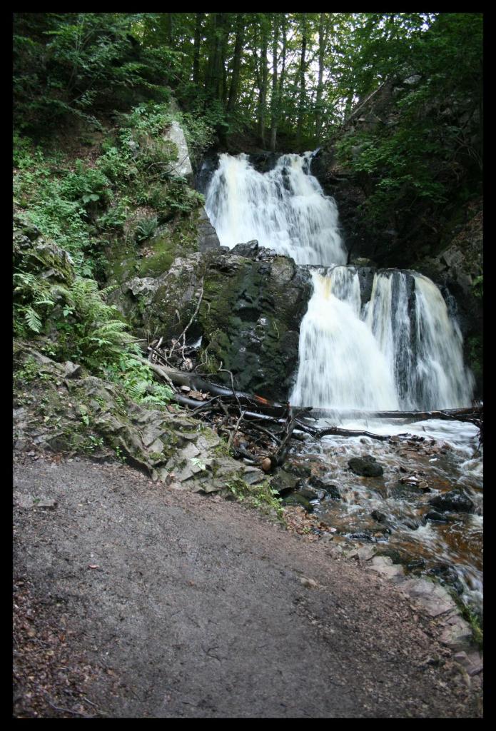 Degeberga Vandrarhem photo 1