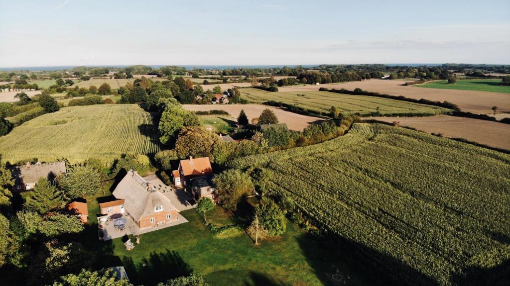 Hof Goosend - Urlaub an der Ostsee & Schlei photo 1