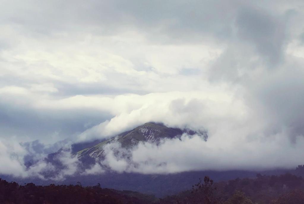 Mistica Munnar photo 2