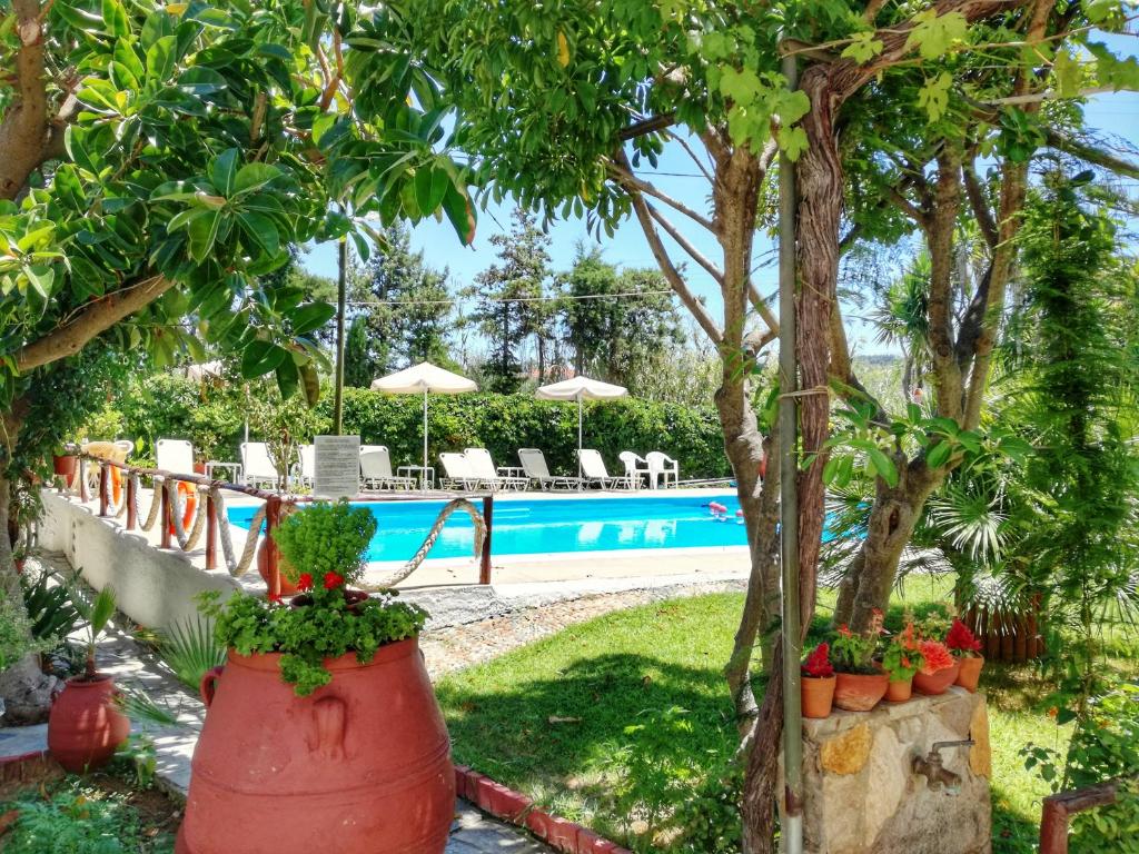 Summer Lodge photo 3