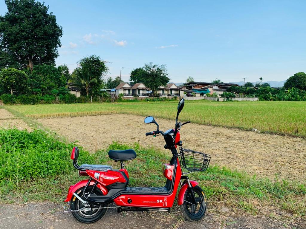 KraThom Doi Luang photo 1