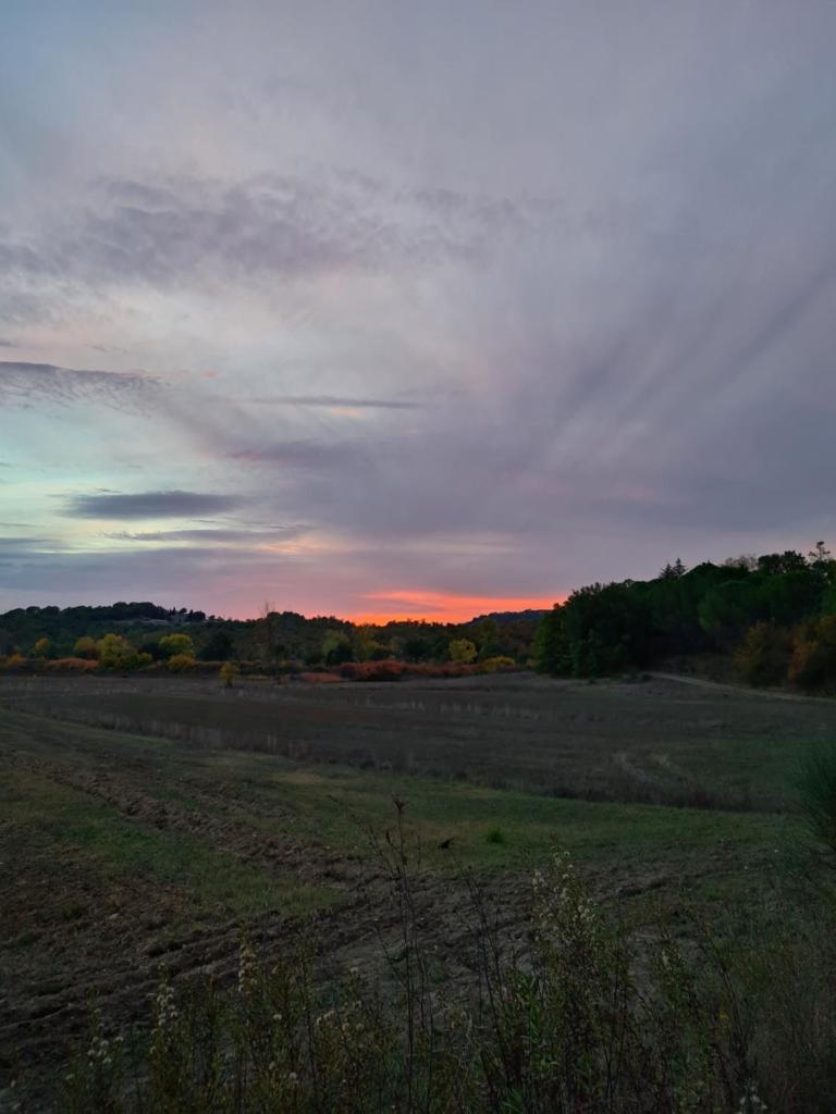 Country Home in Tuscany photo 3