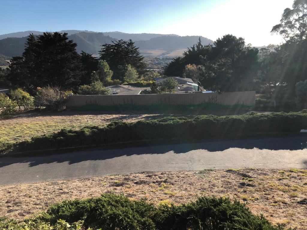 Carmel Comfort photo 1