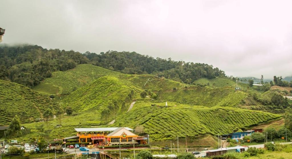 Gorgeous Sunset & Tea Plantation View-Premium Hotel Bed photo 3