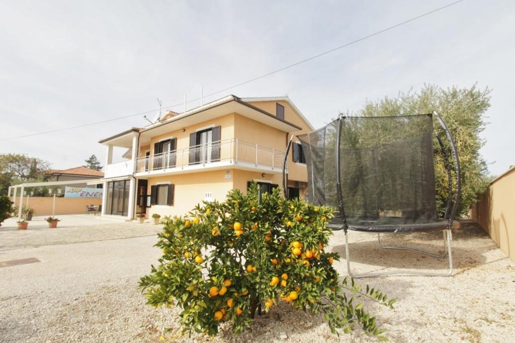 Apartments Enea in Savudria photo 1