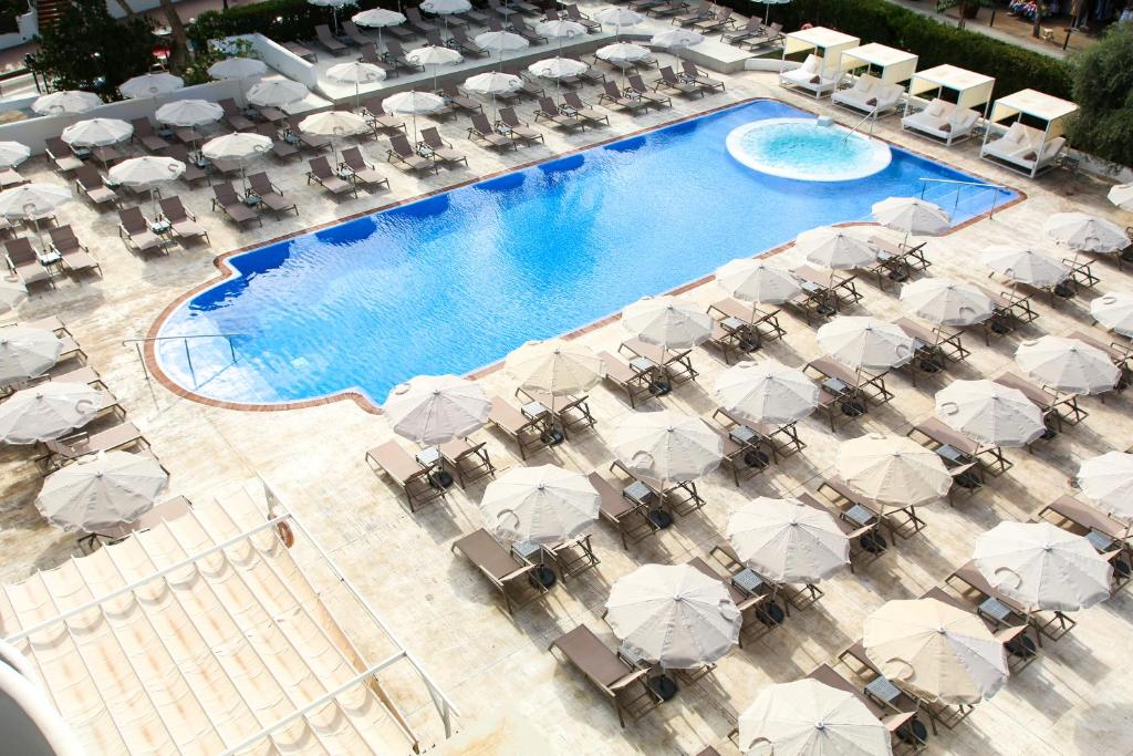 Sentido Fido Tucan - Adults Only - Tap to explore photos