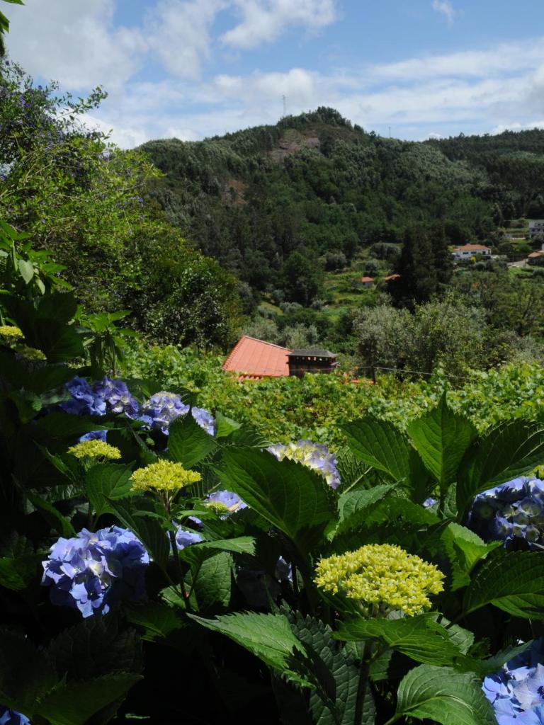 Casa do Valo photo 1