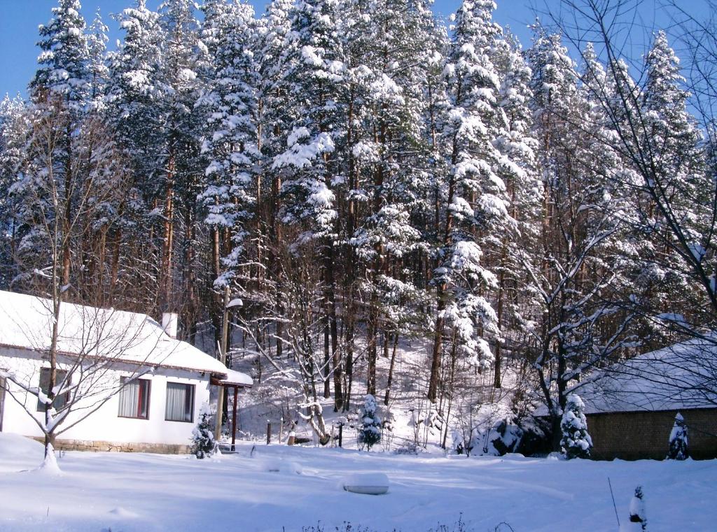 Holiday Home Tanevi photo 3