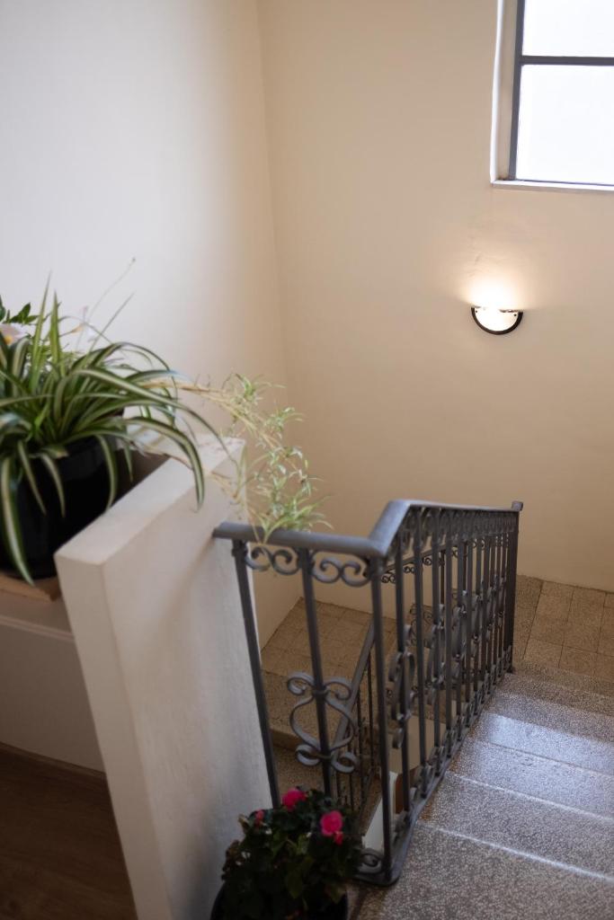 Casa Alina- Art House photo 4